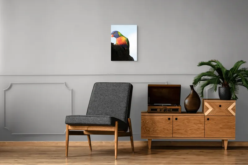 Tablou Canvas, "Papagalul curcubeu pe stâncă neagră", Colorat, Viu, Păsăre, Curcubeu, Natură, Exuberantă, Exotică, Fascinantă, 39 x 54 cm – poza 8