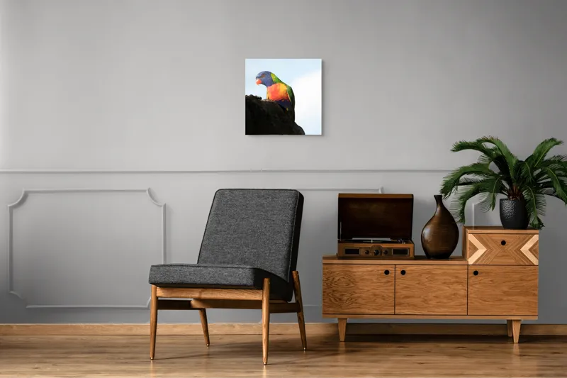 Tablou Canvas, "Papagalul curcubeu pe stâncă neagră", Colorat, Viu, Păsăre, Curcubeu, Natură, Exuberantă, Exotică, Fascinantă, 50 x 50 cm – poza 6