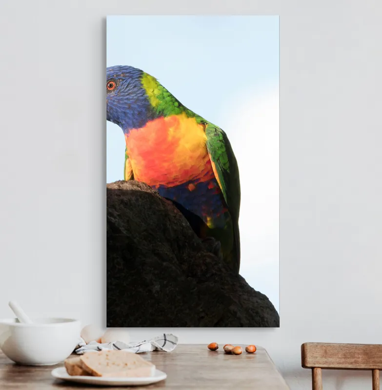 Tablou Canvas, "Papagalul curcubeu pe stâncă neagră", Colorat, Viu, Păsăre, Curcubeu, Natură, Exuberantă, Exotică, Fascinantă, 50 x 90 cm – poza 3