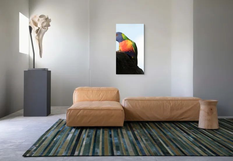 Tablou Canvas, "Papagalul curcubeu pe stâncă neagră", Colorat, Viu, Păsăre, Curcubeu, Natură, Exuberantă, Exotică, Fascinantă, 50 x 90 cm – poza 5