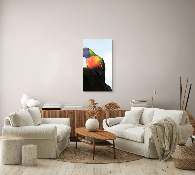 Tablou Canvas, "Papagalul curcubeu pe stâncă neagră", Colorat, Viu, Păsăre, Curcubeu, Natură, Exuberantă, Exotică, Fascinantă, 50 x 90 cm – poza 7