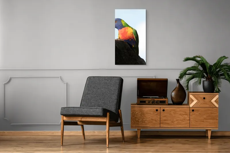 Tablou Canvas, "Papagalul curcubeu pe stâncă neagră", Colorat, Viu, Păsăre, Curcubeu, Natură, Exuberantă, Exotică, Fascinantă, 50 x 90 cm – poza 8