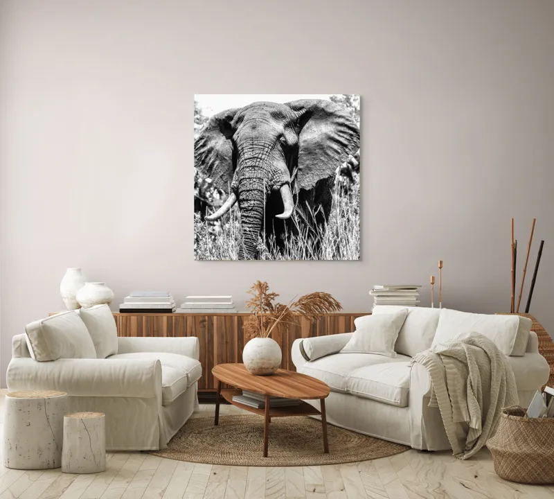 Tablou Canvas, "Umbra colosului din savană africană", Elefant, Impunător, Monumental, Sălbatic, Majestic, Natură, Perceptibil, Grandoare, 100 x 100 cm – poza 3