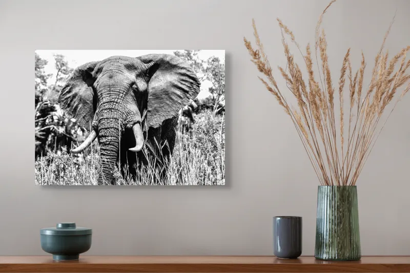 Tablou Canvas, "Umbra colosului din savană africană", Elefant, Impunător, Monumental, Sălbatic, Majestic, Natură, Perceptibil, Grandoare, 54 x 39 cm – poza 4