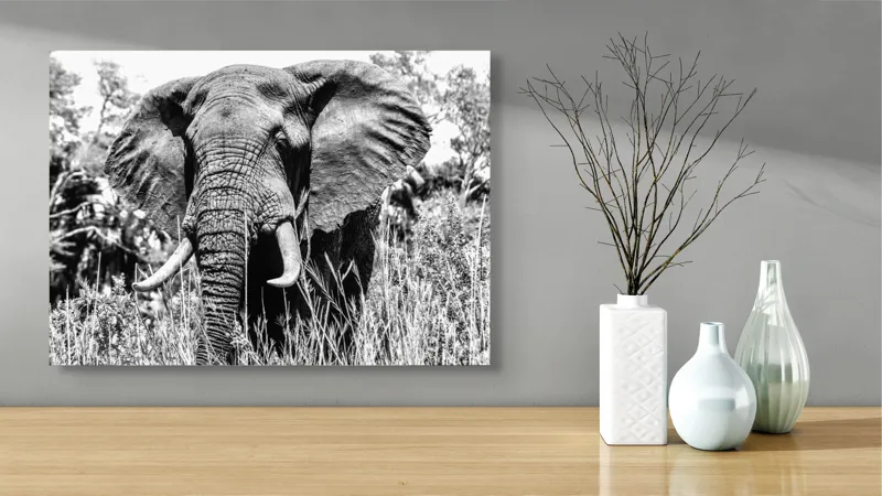 Tablou Canvas, "Umbra colosului din savană africană", Elefant, Impunător, Monumental, Sălbatic, Majestic, Natură, Perceptibil, Grandoare, 70 x 50 cm – poza 3