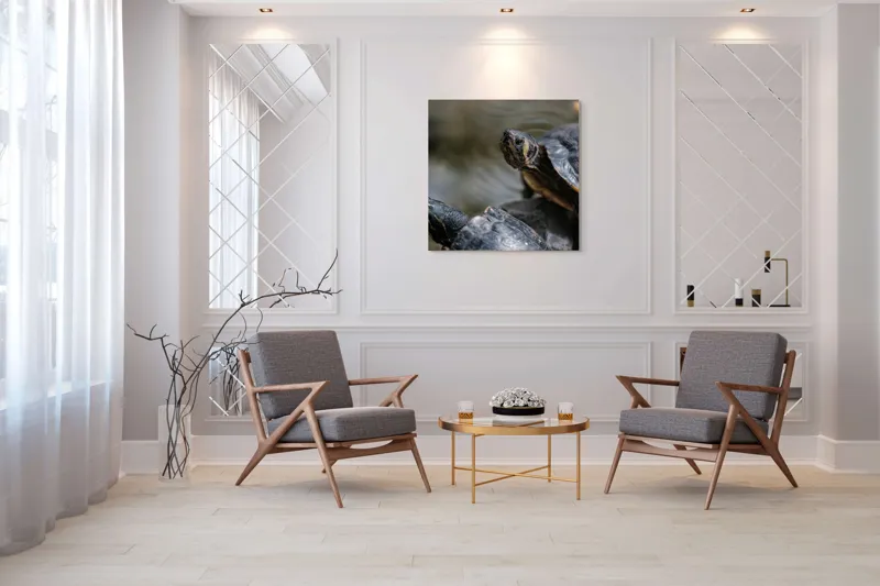 Tablou Canvas, "Broaște țestoase odihnindu-se pe stâncă", Broască-Țestoasă, Apă, Coajă, Verde, Natură, Reptilă, Soare, Țestoase, Râu, Piatră, 100 x 100 cm – poza 7