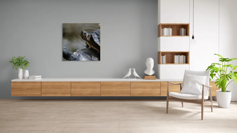 Tablou Canvas, "Broaște țestoase odihnindu-se pe stâncă", Broască-Țestoasă, Apă, Coajă, Verde, Natură, Reptilă, Soare, Țestoase, Râu, Piatră, 100 x 100 cm – poza 8