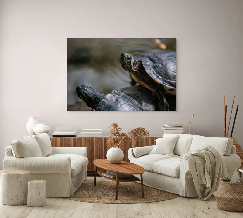 Tablou Canvas, "Broaște țestoase odihnindu-se pe stâncă", Broască-Țestoasă, Apă, Coajă, Verde, Natură, Reptilă, Soare, Țestoase, Râu, Piatră, 150 x 100 cm – poza 3