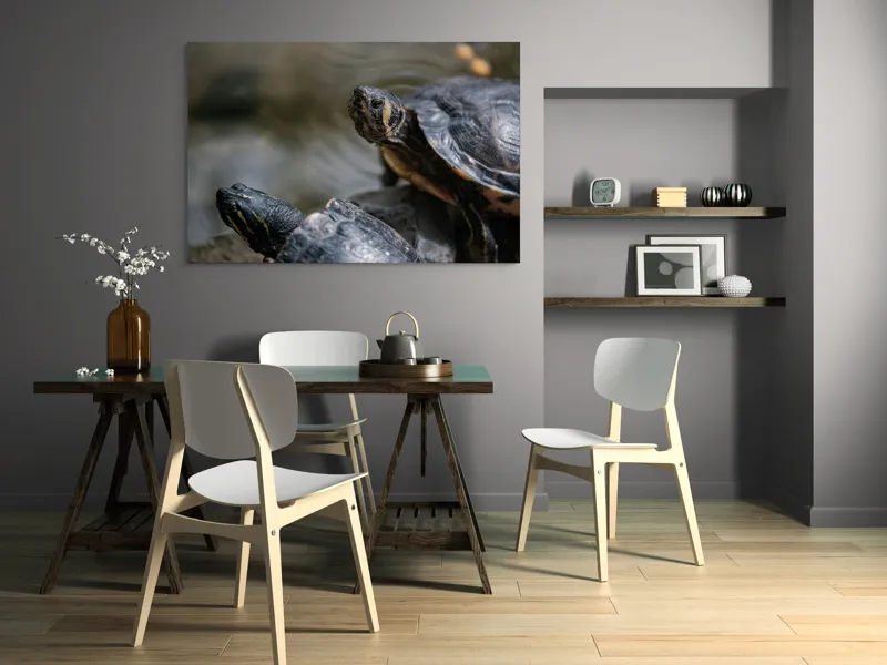 Tablou Canvas, "Broaște țestoase odihnindu-se pe stâncă", Broască-Țestoasă, Apă, Coajă, Verde, Natură, Reptilă, Soare, Țestoase, Râu, Piatră, 150 x 100 cm – poza 5