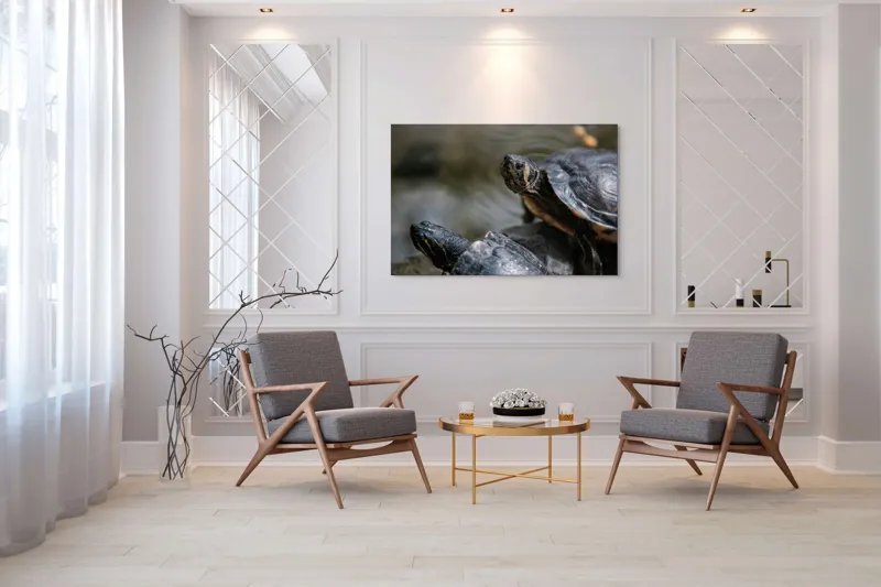 Tablou Canvas, "Broaște țestoase odihnindu-se pe stâncă", Broască-Țestoasă, Apă, Coajă, Verde, Natură, Reptilă, Soare, Țestoase, Râu, Piatră, 150 x 100 cm – poza 7