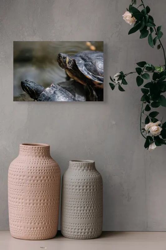 Tablou Canvas, "Broaște țestoase odihnindu-se pe stâncă", Broască-Țestoasă, Apă, Coajă, Verde, Natură, Reptilă, Soare, Țestoase, Râu, Piatră, 39 x 26 cm – poza 4