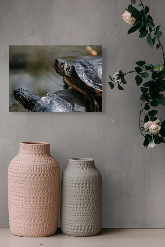 Tablou Canvas, "Broaște țestoase odihnindu-se pe stâncă", Broască-Țestoasă, Apă, Coajă, Verde, Natură, Reptilă, Soare, Țestoase, Râu, Piatră, 54 x 39 cm – poza 8