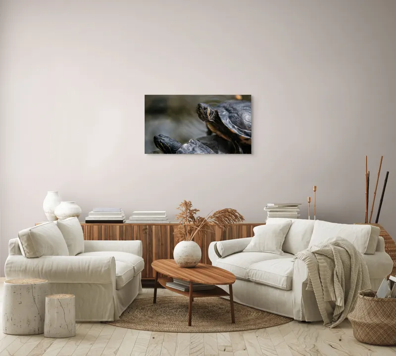 Tablou Canvas, "Broaște țestoase odihnindu-se pe stâncă", Broască-Țestoasă, Apă, Coajă, Verde, Natură, Reptilă, Soare, Țestoase, Râu, Piatră, 90 x 50 cm – poza 4