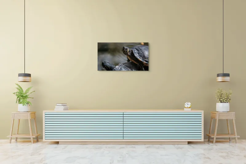 Tablou Canvas, "Broaște țestoase odihnindu-se pe stâncă", Broască-Țestoasă, Apă, Coajă, Verde, Natură, Reptilă, Soare, Țestoase, Râu, Piatră, 90 x 50 cm – poza 5