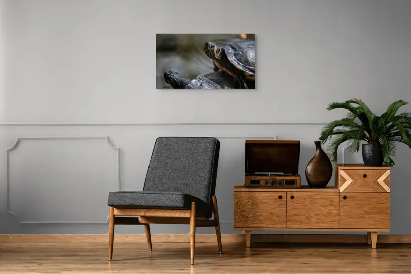 Tablou Canvas, "Broaște țestoase odihnindu-se pe stâncă", Broască-Țestoasă, Apă, Coajă, Verde, Natură, Reptilă, Soare, Țestoase, Râu, Piatră, 90 x 50 cm – poza 6