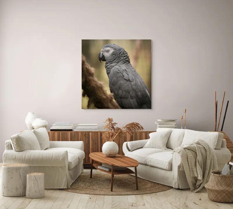 Tablou Canvas, "Papagal odihnindu-se în liniștea pădurii", Papagal, Gri, Răsfățat, Adormit, Serenitate, Penaj, Exotic., 100 x 100 cm – poza 3