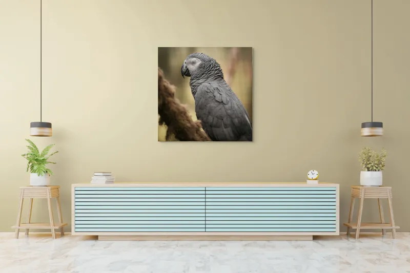 Tablou Canvas, "Papagal odihnindu-se în liniștea pădurii", Papagal, Gri, Răsfățat, Adormit, Serenitate, Penaj, Exotic., 100 x 100 cm – poza 5