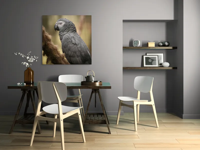 Tablou Canvas, "Papagal odihnindu-se în liniștea pădurii", Papagal, Gri, Răsfățat, Adormit, Serenitate, Penaj, Exotic., 100 x 100 cm – poza 6