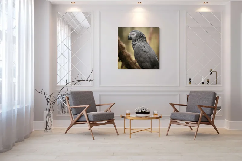 Tablou Canvas, "Papagal odihnindu-se în liniștea pădurii", Papagal, Gri, Răsfățat, Adormit, Serenitate, Penaj, Exotic., 100 x 100 cm – poza 7