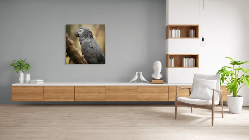 Tablou Canvas, "Papagal odihnindu-se în liniștea pădurii", Papagal, Gri, Răsfățat, Adormit, Serenitate, Penaj, Exotic., 100 x 100 cm – poza 8