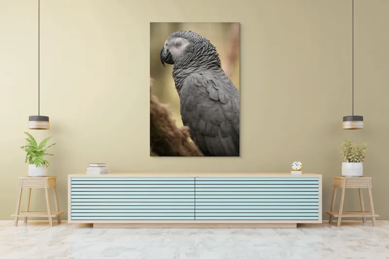 Tablou Canvas, "Papagal odihnindu-se în liniștea pădurii", Papagal, Gri, Răsfățat, Adormit, Serenitate, Penaj, Exotic., 100 x 150 cm – poza 4