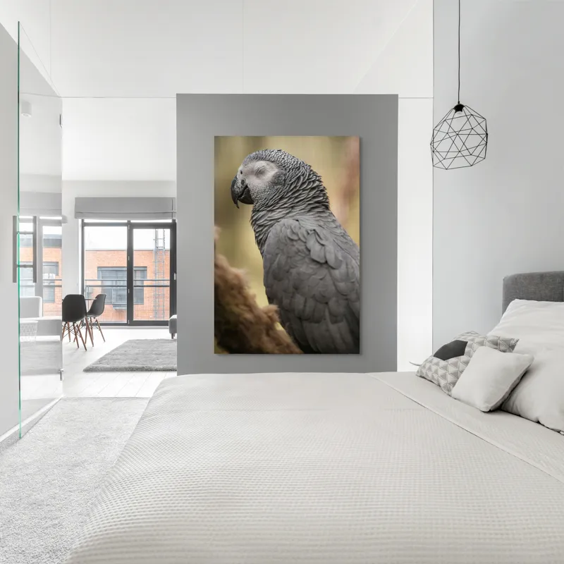 Tablou Canvas, "Papagal odihnindu-se în liniștea pădurii", Papagal, Gri, Răsfățat, Adormit, Serenitate, Penaj, Exotic., 100 x 150 cm – poza 5