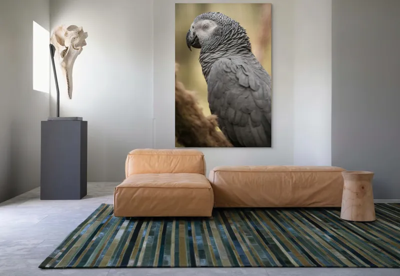 Tablou Canvas, "Papagal odihnindu-se în liniștea pădurii", Papagal, Gri, Răsfățat, Adormit, Serenitate, Penaj, Exotic., 100 x 150 cm – poza 7