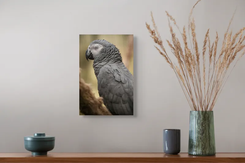 Tablou Canvas, "Papagal odihnindu-se în liniștea pădurii", Papagal, Gri, Răsfățat, Adormit, Serenitate, Penaj, Exotic., 26 x 39 cm – poza 5