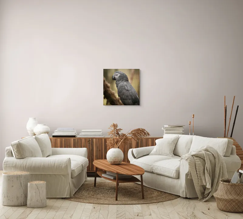 Tablou Canvas, "Papagal odihnindu-se în liniștea pădurii", Papagal, Gri, Răsfățat, Adormit, Serenitate, Penaj, Exotic., 50 x 50 cm – poza 7