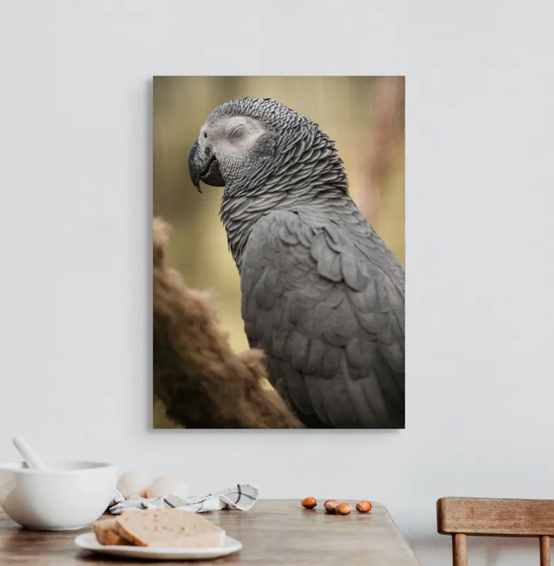 Tablou Canvas, "Papagal odihnindu-se în liniștea pădurii", Papagal, Gri, Răsfățat, Adormit, Serenitate, Penaj, Exotic., 50 x 70 cm – poza 3