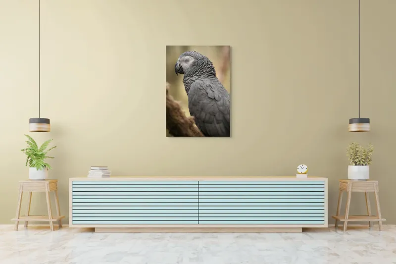 Tablou Canvas, "Papagal odihnindu-se în liniștea pădurii", Papagal, Gri, Răsfățat, Adormit, Serenitate, Penaj, Exotic., 70 x 100 cm – poza 5