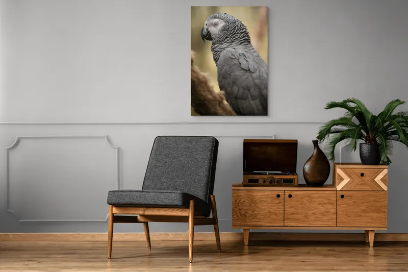 Tablou Canvas, "Papagal odihnindu-se în liniștea pădurii", Papagal, Gri, Răsfățat, Adormit, Serenitate, Penaj, Exotic., 70 x 100 cm – poza 6