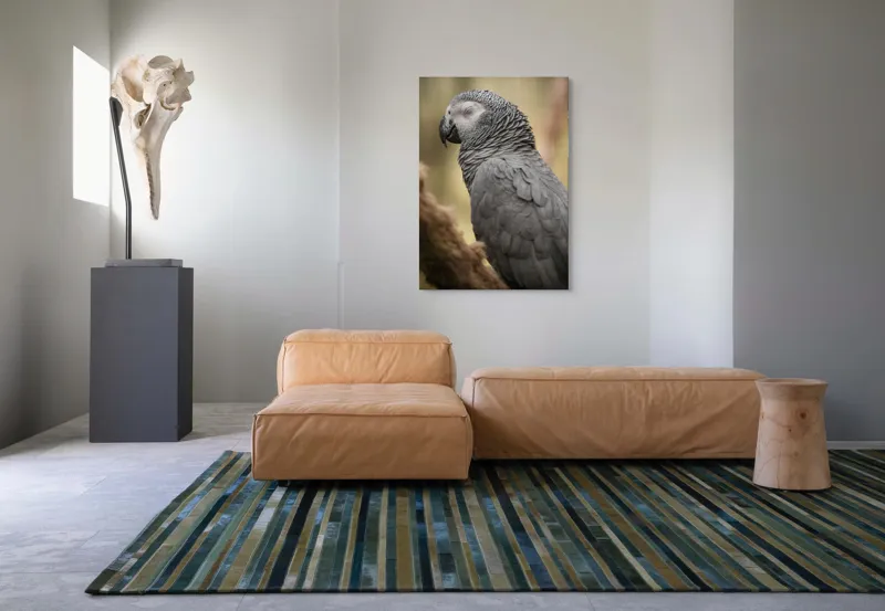 Tablou Canvas, "Papagal odihnindu-se în liniștea pădurii", Papagal, Gri, Răsfățat, Adormit, Serenitate, Penaj, Exotic., 70 x 100 cm – poza 7