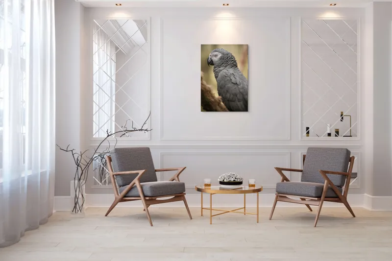 Tablou Canvas, "Papagal odihnindu-se în liniștea pădurii", Papagal, Gri, Răsfățat, Adormit, Serenitate, Penaj, Exotic., 70 x 100 cm – poza 8