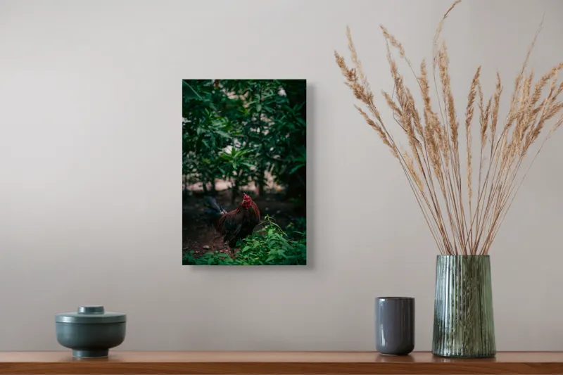 Tablou Canvas, "Cocoșul sub umbra desișului verde", Cocoș, Pădure, Verdeață, Penaj, Natural, Lumină, Vegetație, 26 x 39 cm – poza 5