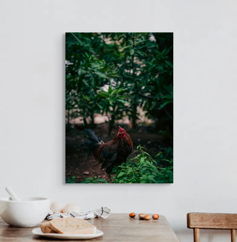 Tablou Canvas, "Cocoșul sub umbra desișului verde", Cocoș, Pădure, Verdeață, Penaj, Natural, Lumină, Vegetație, 50 x 70 cm – poza 3