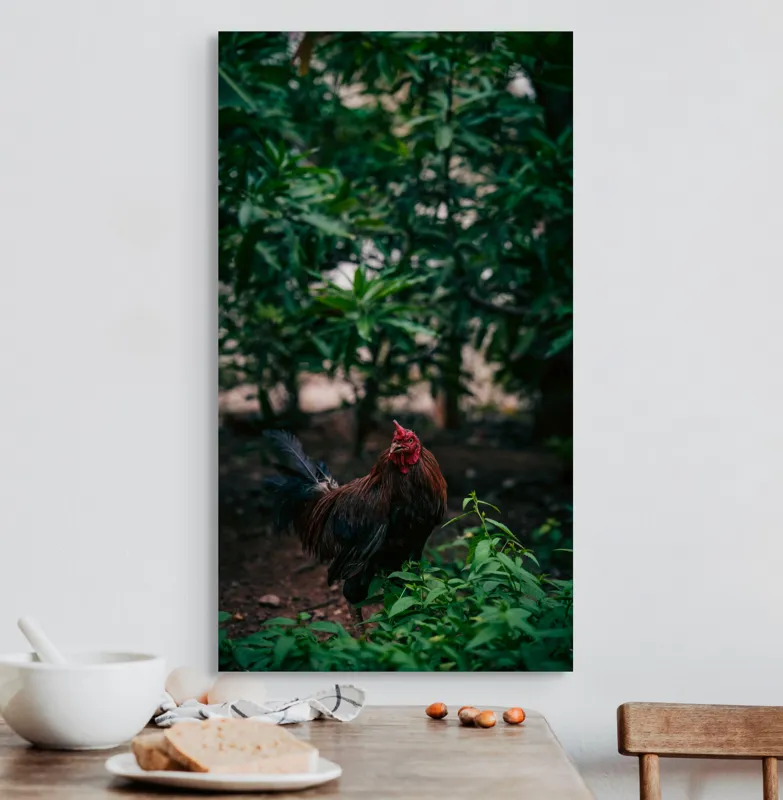 Tablou Canvas, "Cocoșul sub umbra desișului verde", Cocoș, Pădure, Verdeață, Penaj, Natural, Lumină, Vegetație, 50 x 90 cm – poza 3