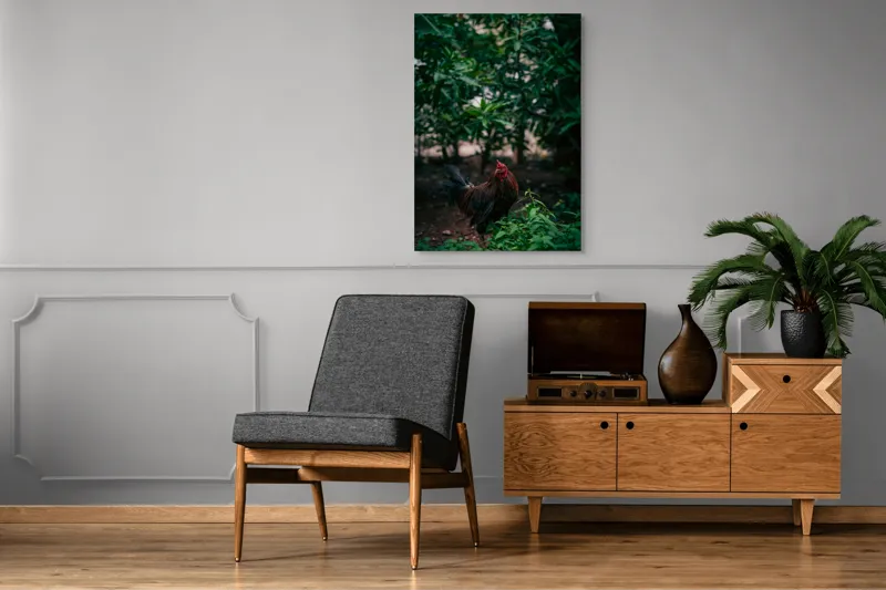 Tablou Canvas, "Cocoșul sub umbra desișului verde", Cocoș, Pădure, Verdeață, Penaj, Natural, Lumină, Vegetație, 70 x 100 cm – poza 6