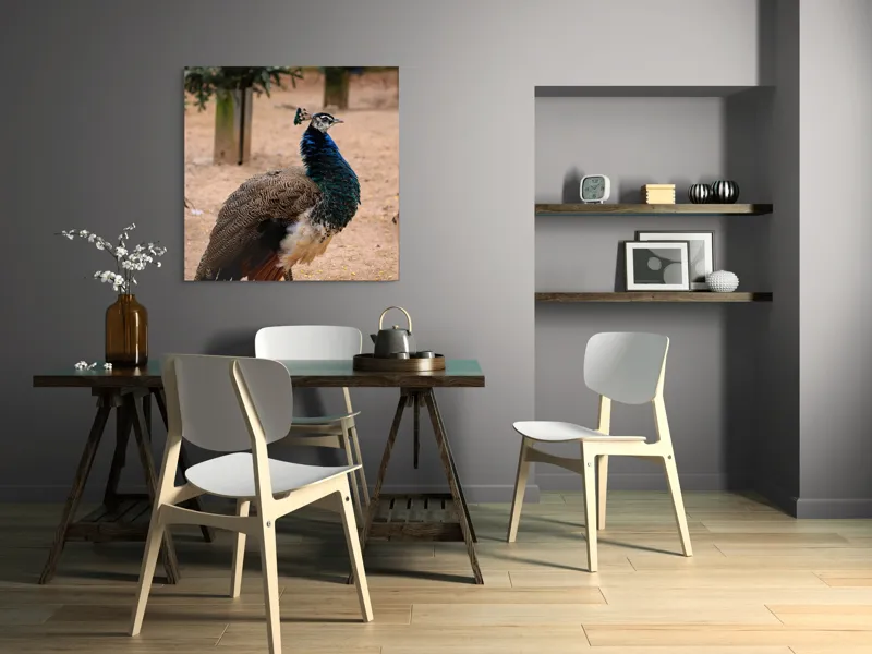 Tablou Canvas, "Păunul fermecat în grădină liniștită", Pene, Culori, Eleganță, Măreție, Exotic, Frumusețe, 100 x 100 cm – poza 6