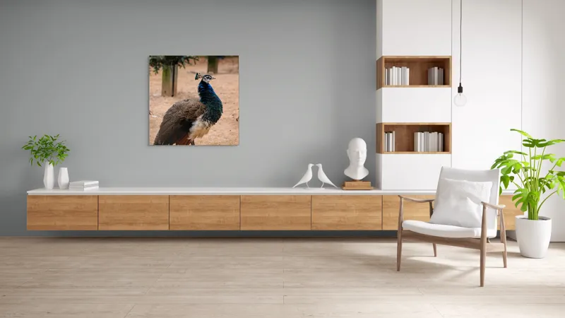 Tablou Canvas, "Păunul fermecat în grădină liniștită", Pene, Culori, Eleganță, Măreție, Exotic, Frumusețe, 100 x 100 cm – poza 8