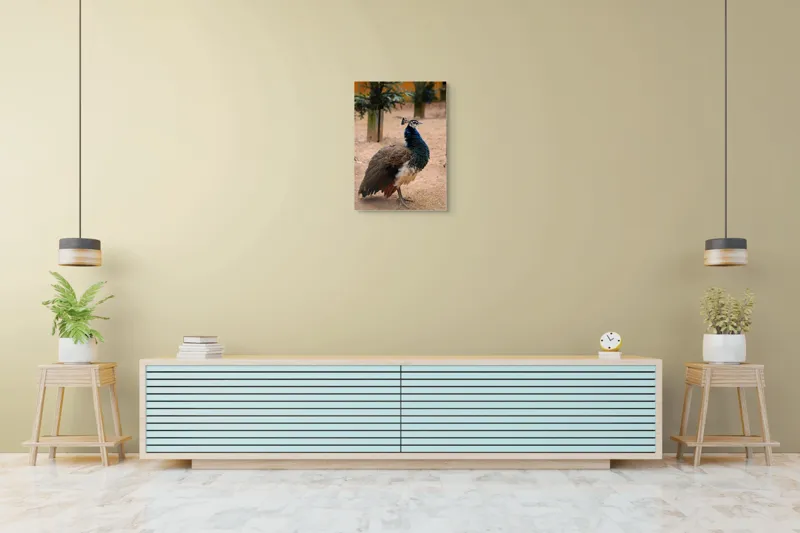 Tablou Canvas, "Păunul fermecat în grădină liniștită", Pene, Culori, Eleganță, Măreție, Exotic, Frumusețe, 50 x 70 cm – poza 6