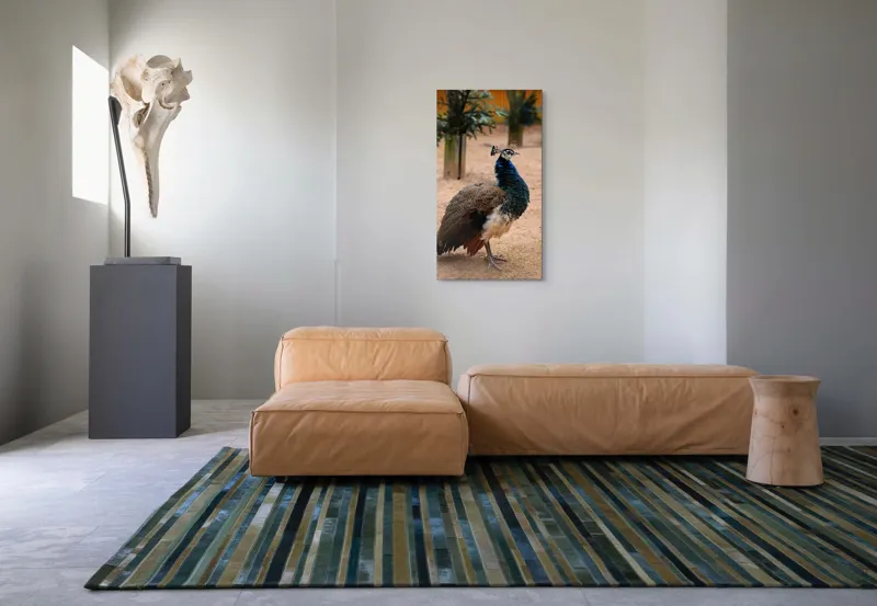 Tablou Canvas, "Păunul fermecat în grădină liniștită", Pene, Culori, Eleganță, Măreție, Exotic, Frumusețe, 50 x 90 cm – poza 5
