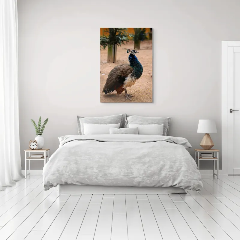 Tablou Canvas, "Păunul fermecat în grădină liniștită", Pene, Culori, Eleganță, Măreție, Exotic, Frumusețe, 70 x 100 cm – poza 3