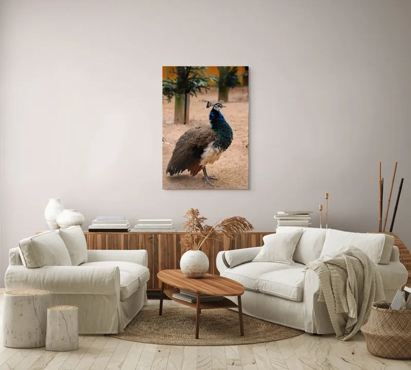 Tablou Canvas, "Păunul fermecat în grădină liniștită", Pene, Culori, Eleganță, Măreție, Exotic, Frumusețe, 70 x 100 cm – poza 4