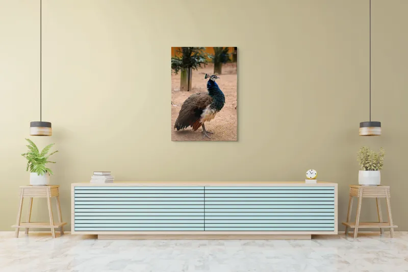 Tablou Canvas, "Păunul fermecat în grădină liniștită", Pene, Culori, Eleganță, Măreție, Exotic, Frumusețe, 70 x 100 cm – poza 5