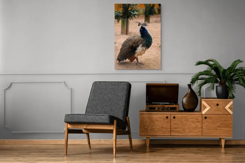 Tablou Canvas, "Păunul fermecat în grădină liniștită", Pene, Culori, Eleganță, Măreție, Exotic, Frumusețe, 70 x 100 cm – poza 6