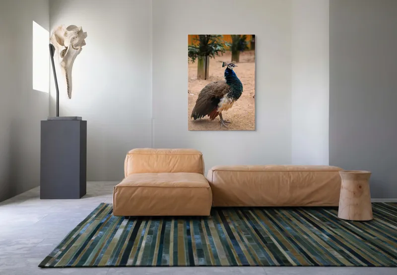 Tablou Canvas, "Păunul fermecat în grădină liniștită", Pene, Culori, Eleganță, Măreție, Exotic, Frumusețe, 70 x 100 cm – poza 7