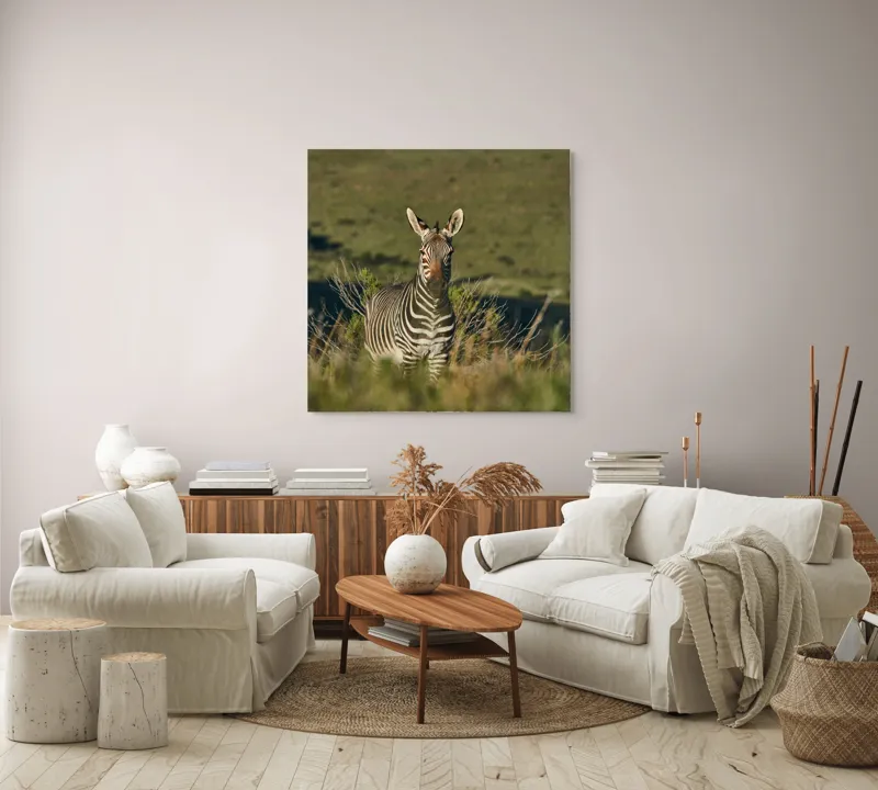 Tablou Canvas, "Zebra în peisajul savanei africane", Zebră, Iarbă, Pădure, Natură, Privire, Linie, Africa, Culoare, Pasiune, Liniște, 100 x 100 cm – poza 3