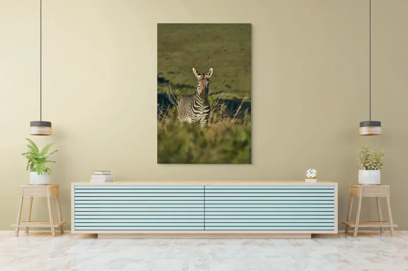 Tablou Canvas, "Zebra în peisajul savanei africane", Zebră, Iarbă, Pădure, Natură, Privire, Linie, Africa, Culoare, Pasiune, Liniște, 100 x 150 cm – poza 4