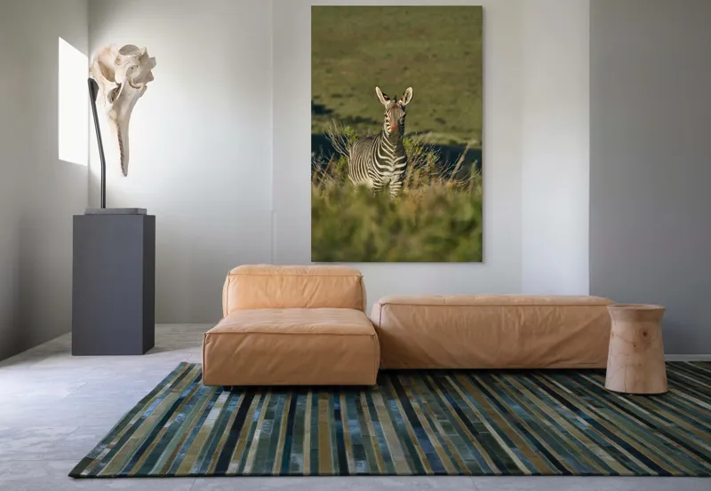 Tablou Canvas, "Zebra în peisajul savanei africane", Zebră, Iarbă, Pădure, Natură, Privire, Linie, Africa, Culoare, Pasiune, Liniște, 100 x 150 cm – poza 7